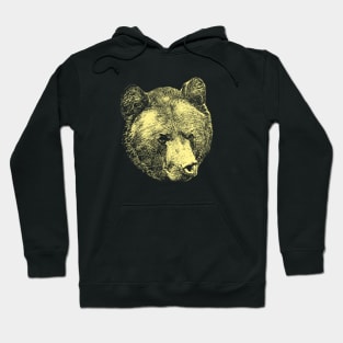 Brown bear portrait Hoodie